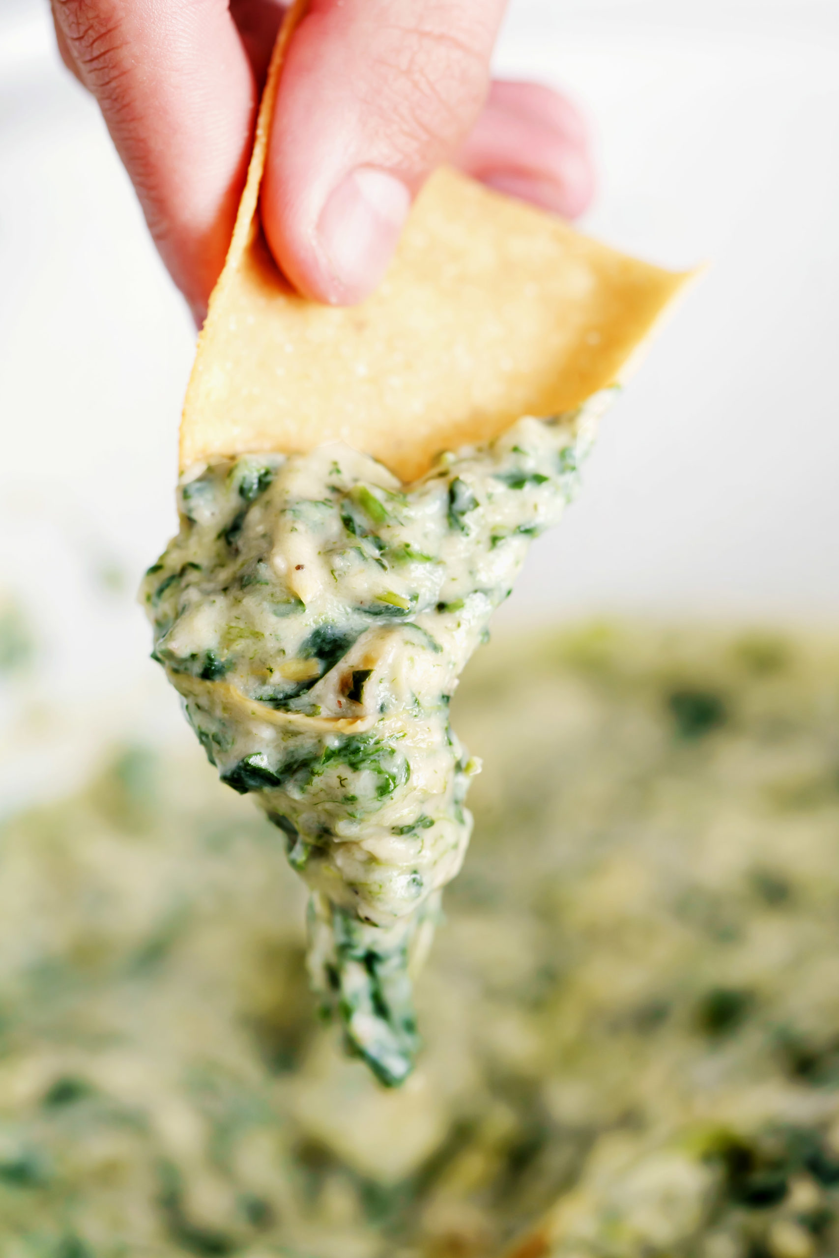 Homemade Slow Cooker Spinach Dip via Real Food by Dad